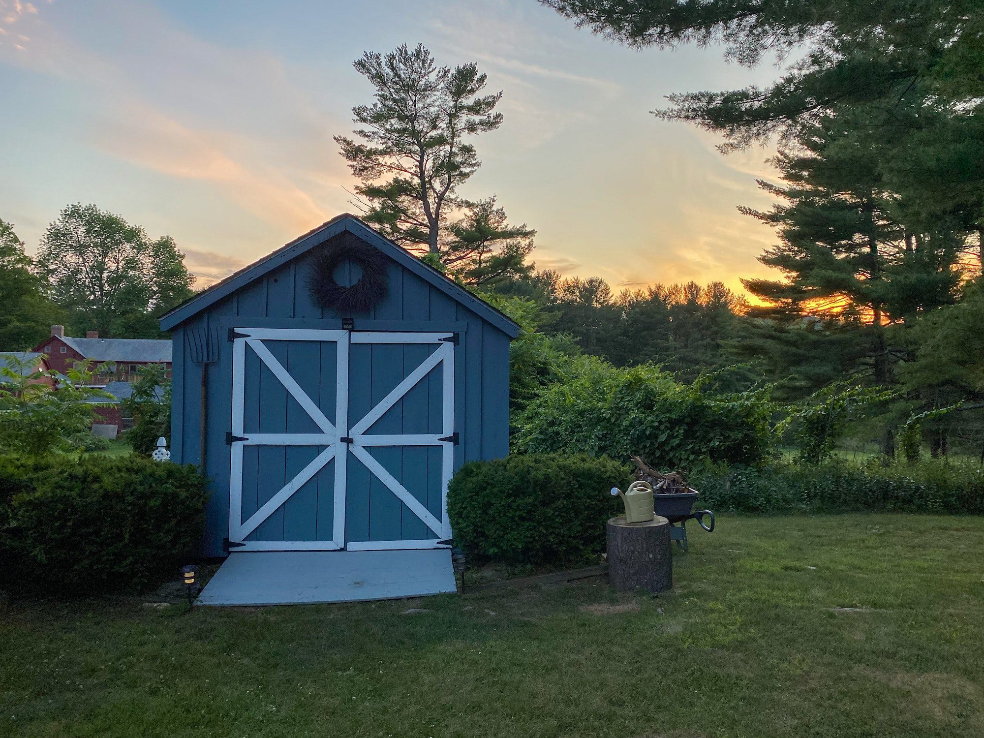 Blue garden shed in a suburban backyard.